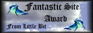 The Fantastic Site Award, From Little Bit.